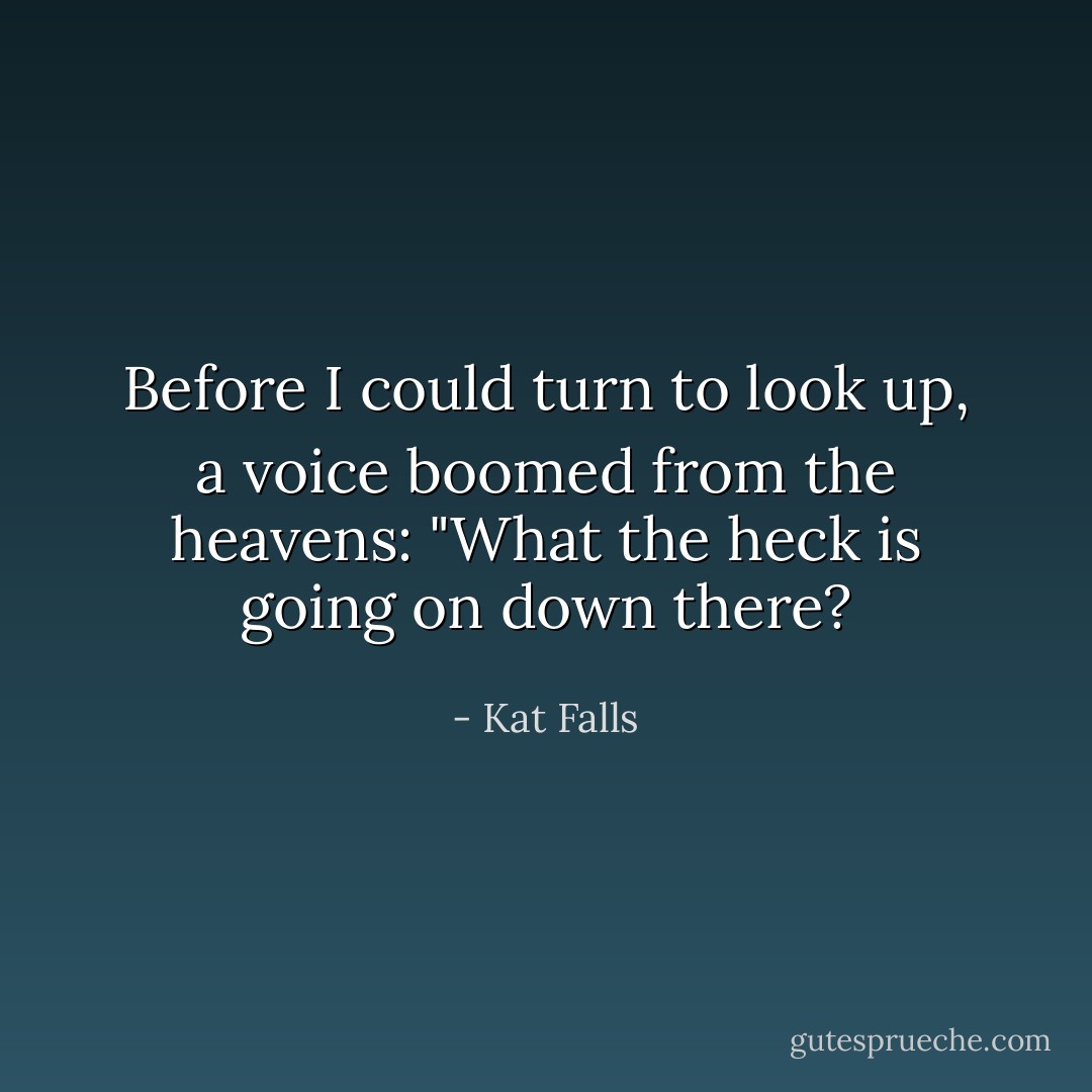 Before I could turn to look up, a voice boomed from the heavens: "What the heck is going on down there? - Kat Falls