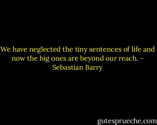 We have neglected the tiny sentences of life and now the big ones are beyond our reach. - Sebastian Barry
