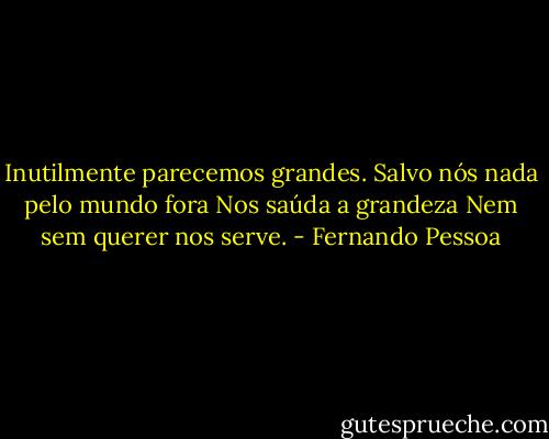 Inutilmente parecemos grandes.<br />Salvo nós nada pelo mundo fora<br />Nos saúda a grandeza<br />Nem sem querer nos serve. - Fernando Pessoa