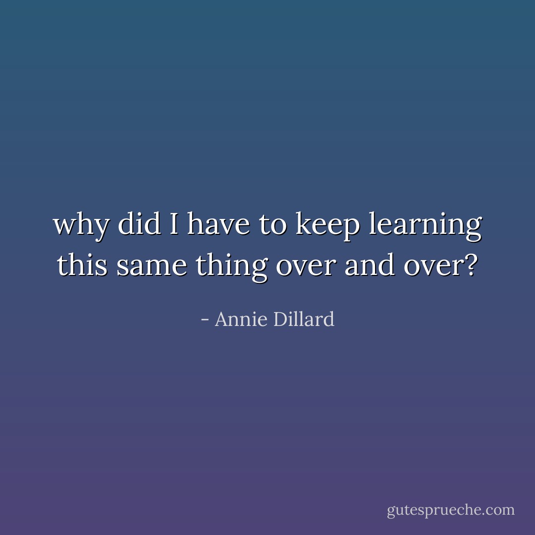 why did I have to keep learning this same thing over and over? - Annie Dillard