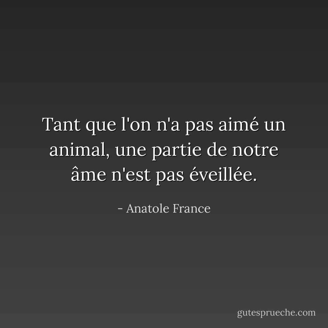 Tant que l'on n'a pas aimé un animal, une partie de notre âme n'est pas éveillée. - Anatole France