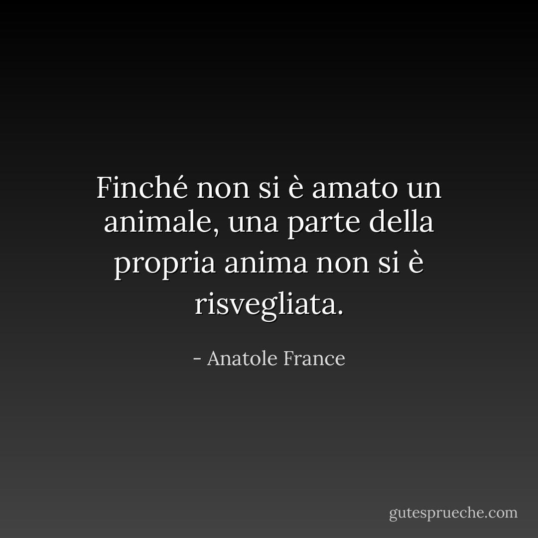 Finché non si è amato un animale, una parte della propria anima non si è risvegliata. - Anatole France