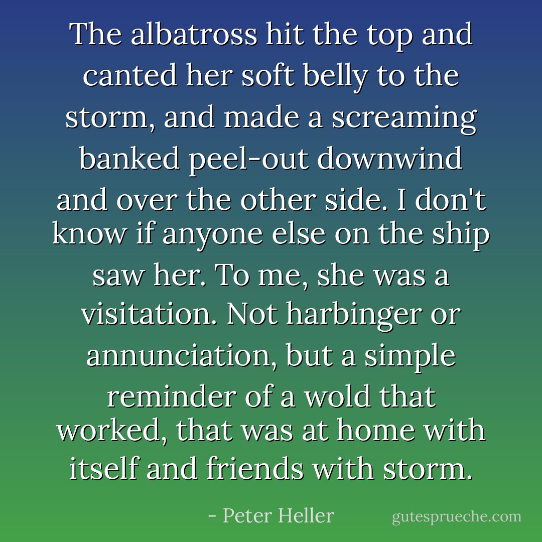The albatross hit the top and canted her soft belly to the storm, and made a screaming banked peel-out downwind and over the other side. I don't know if anyone else on the ship saw her. To me, she was a visitation. Not harbinger or annunciation, but a simple reminder of a wold that worked, that was at home with itself and friends with storm. - Peter Heller