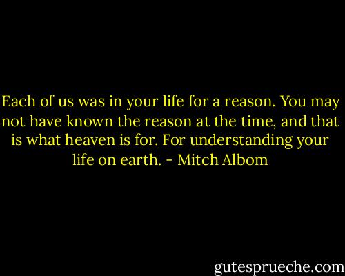 Each of us was in your life for a reason. You may not have known the reason at the time, and that is what heaven is for. For understanding your life on earth. - Mitch Albom
