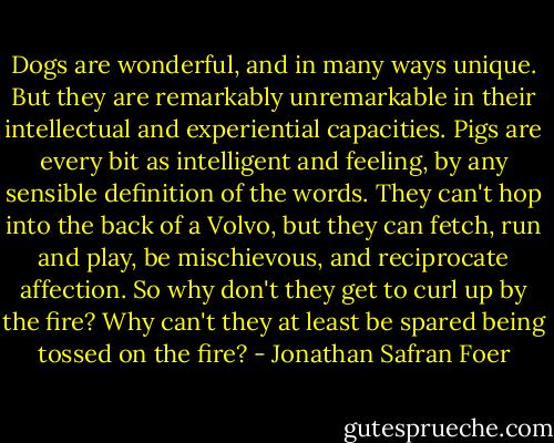 Dogs are wonderful, and in many ways unique. But they are remarkably unremarkable in their intellectual and experiential capacities. Pigs are every bit as intelligent and feeling, by any sensible definition of the words. They can't hop into the back of a Volvo, but they can fetch, run and play, be mischievous, and reciprocate affection. So why don't they get to curl up by the fire? Why can't they at least be spared being tossed on the fire? - Jonathan Safran Foer