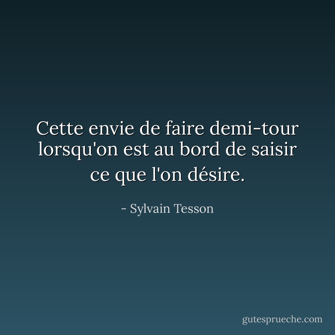 Cette envie de faire demi-tour lorsqu'on est au bord de saisir ce que l'on désire. - Sylvain Tesson