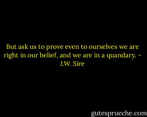 But ask us to prove even to ourselves we are right in our belief, and we are in a quandary. - J.W. Sire