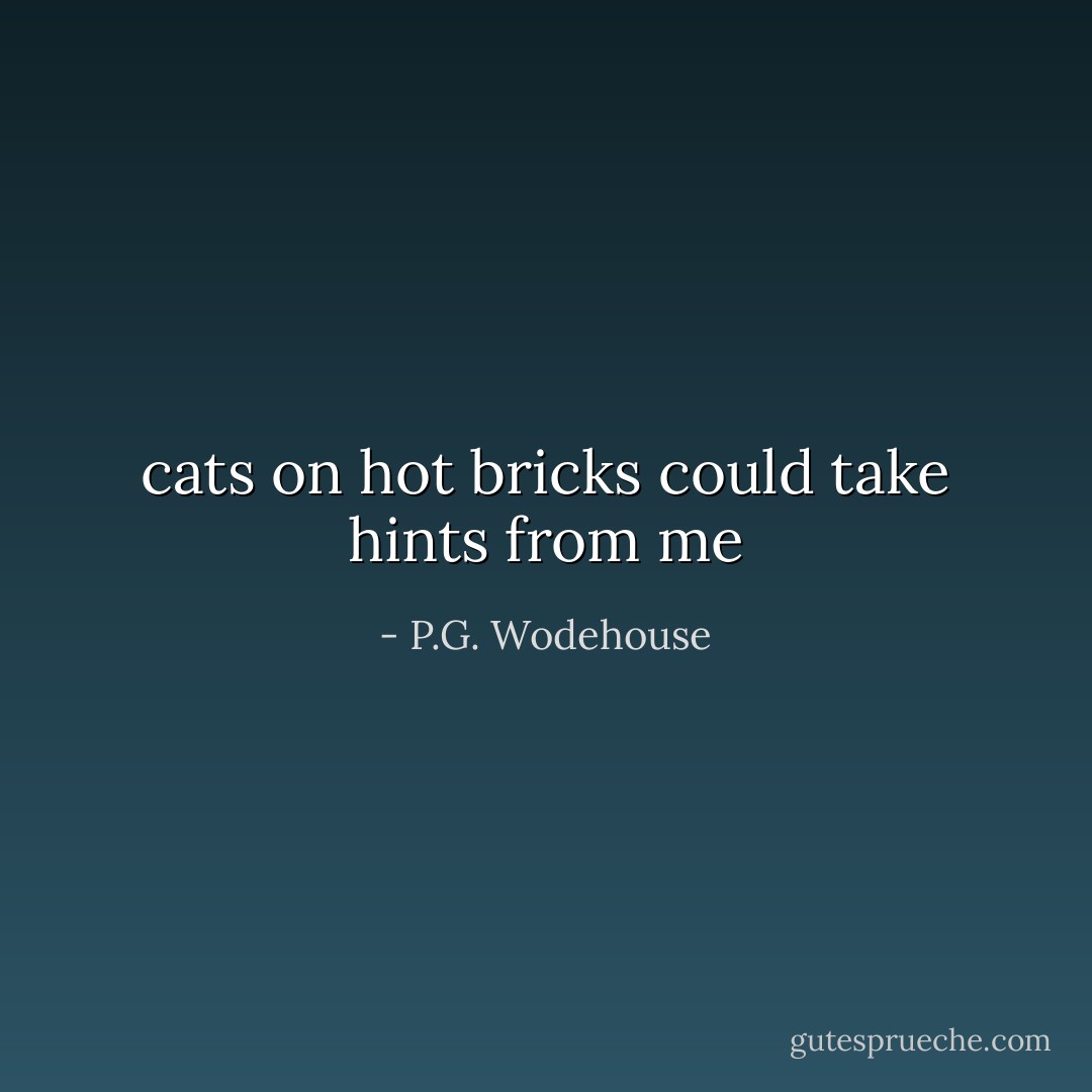 cats on hot bricks could take hints from me - P.G. Wodehouse