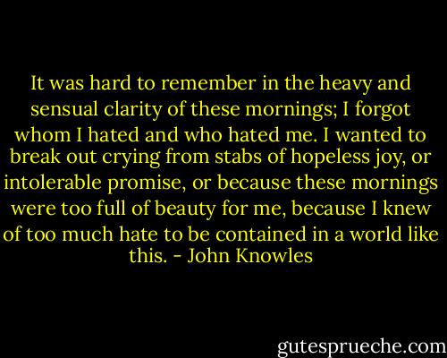 It was hard to remember in the heavy and sensual clarity of these mornings; I forgot whom I hated and who hated me. I wanted to break out crying from stabs of hopeless joy, or intolerable promise, or because these mornings were too full of beauty for me, because I knew of too much hate to be contained in a world like this. - John Knowles