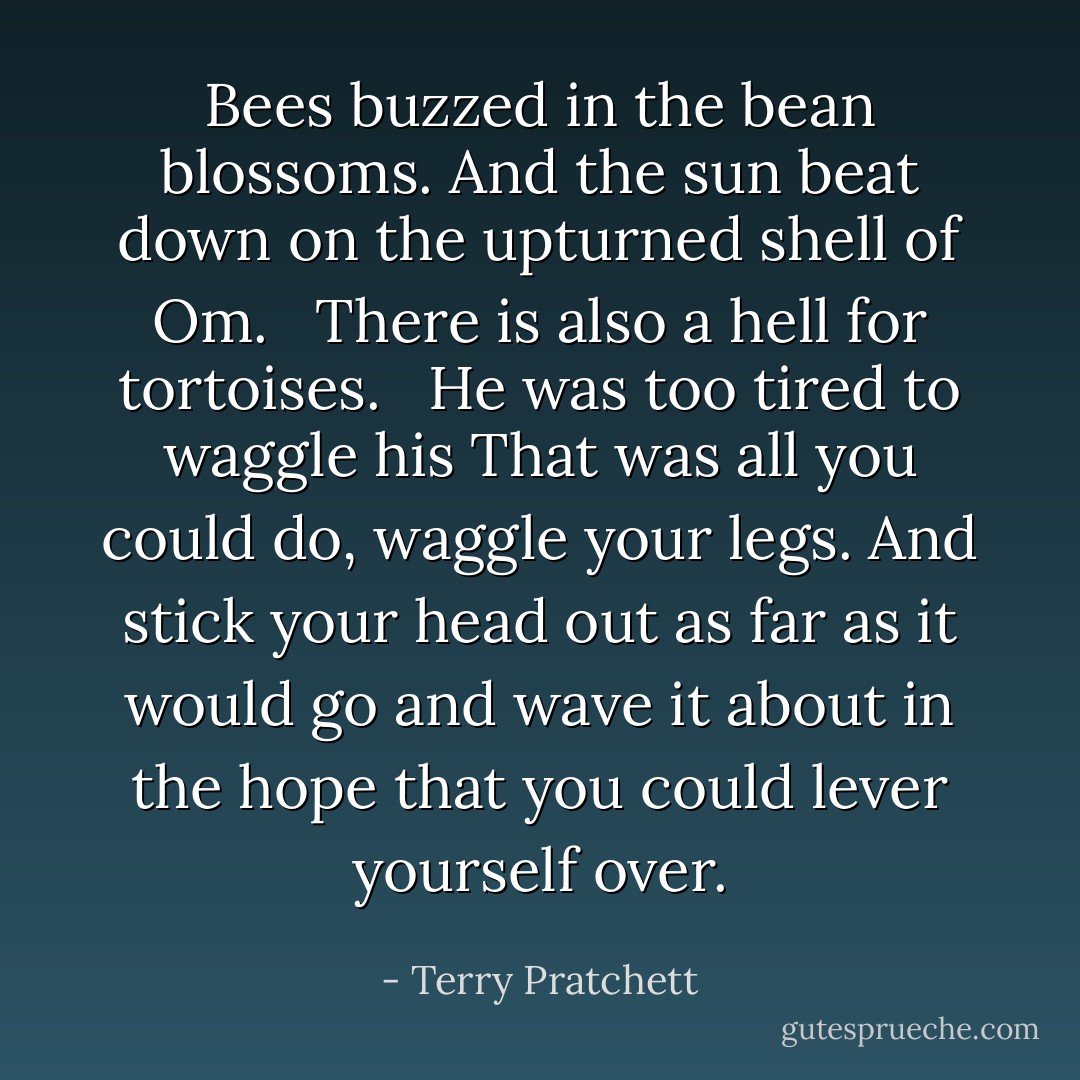 Bees buzzed in the bean blossoms. And the sun beat down on the upturned shell of Om. <br /><br />There is also a hell for tortoises. <br /><br />He was too tired to waggle his That was all you could do, waggle your legs. And stick your head out as far as it would go and wave it about in the hope that you could lever yourself over. - Terry Pratchett