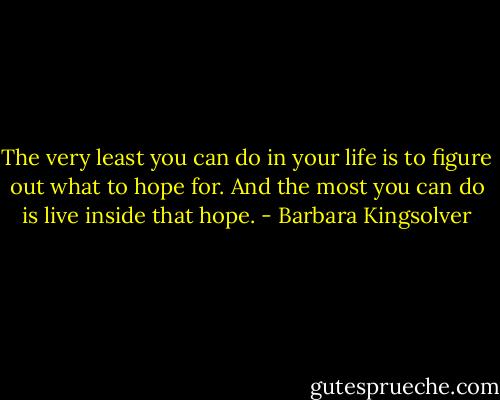 The very least you can do in your life is to figure out what to hope for. And the most you can do is live inside that hope. - Barbara Kingsolver