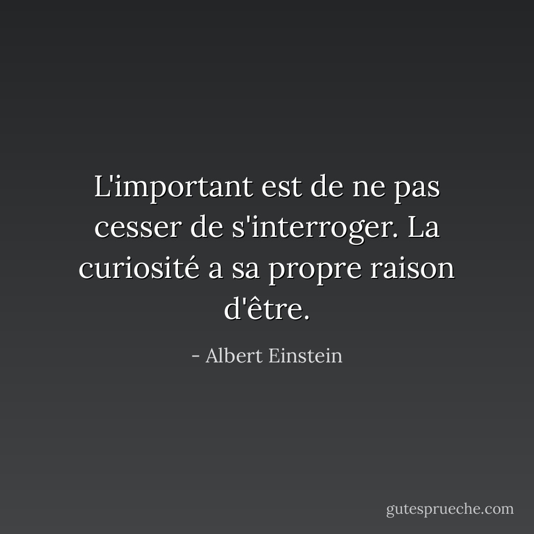 L'important est de ne pas cesser de s'interroger. La curiosité a sa propre raison d'être. - Albert Einstein
