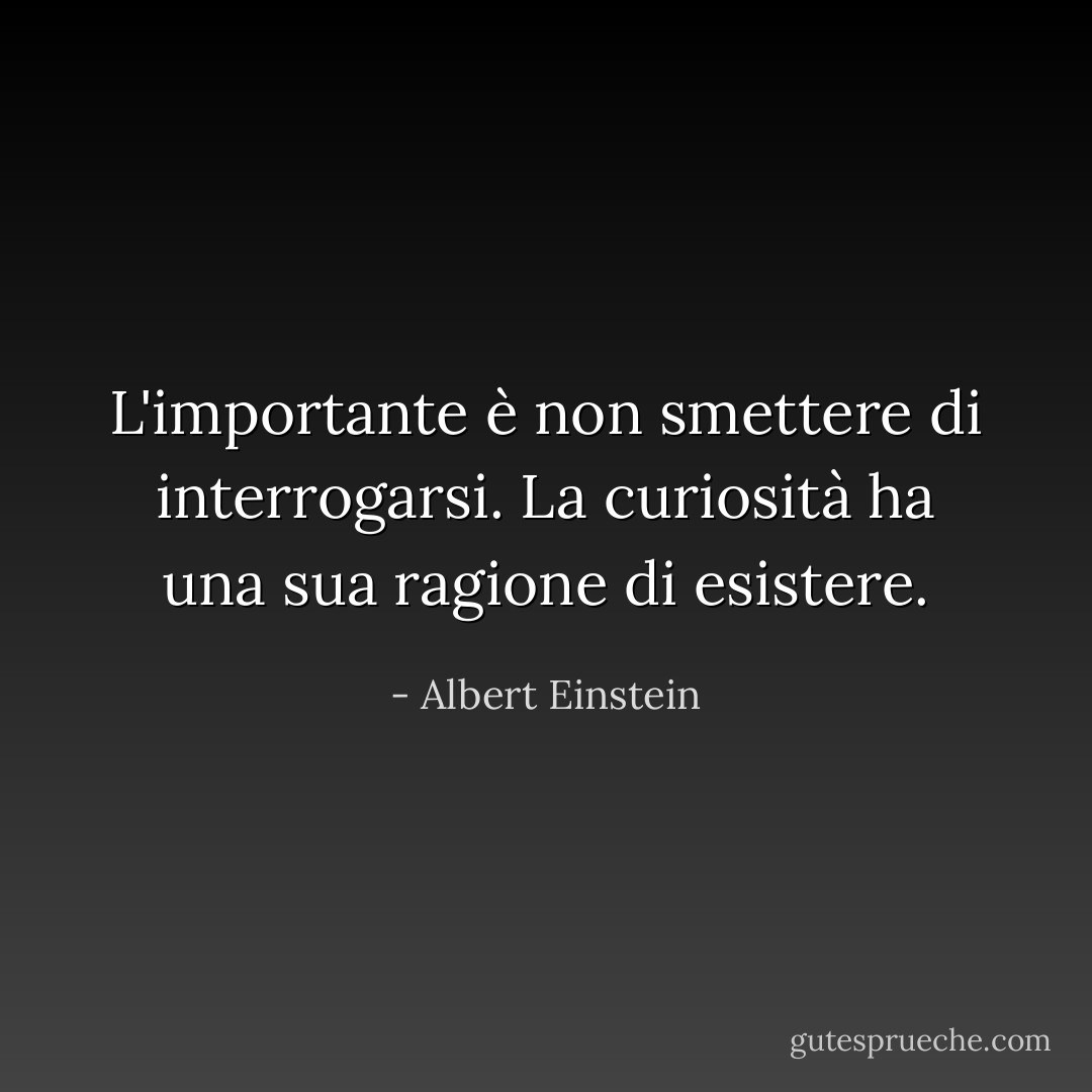 L'importante è non smettere di interrogarsi. La curiosità ha una sua ragione di esistere. - Albert Einstein