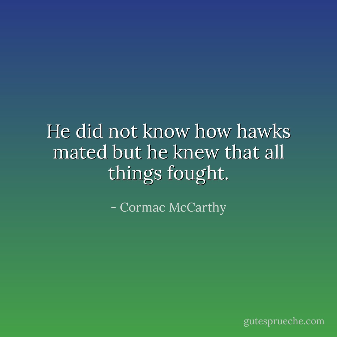 He did not know how hawks mated but he knew that all things fought. - Cormac McCarthy