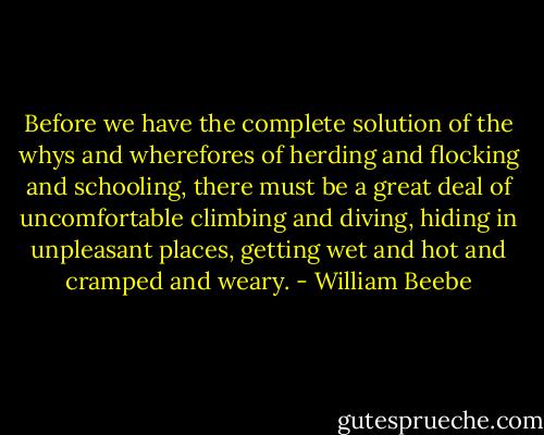 Before we have the complete solution of the whys and wherefores of herding and flocking and schooling, there must be a great deal of uncomfortable climbing and diving, hiding in unpleasant places, getting wet and hot and cramped and weary. - William Beebe