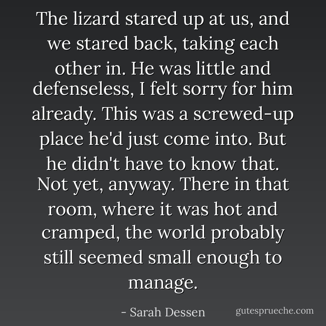 The lizard stared up at us, and we stared back, taking each other in. He was little and defenseless, I felt sorry for him already. This was a screwed-up place he'd just come into. But he didn't have to know that. Not yet, anyway. There in that room, where it was hot and cramped, the world probably still seemed small enough to manage. - Sarah Dessen
