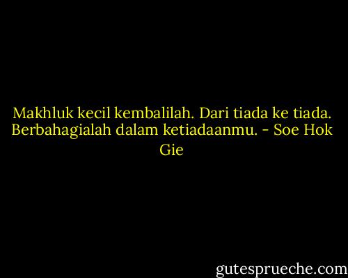 Makhluk kecil kembalilah. Dari tiada ke tiada. Berbahagialah dalam ketiadaanmu. - Soe Hok Gie