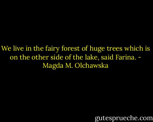 We live in the fairy forest of huge trees which is on the other side of the lake, said Farina. - Magda M. Olchawska