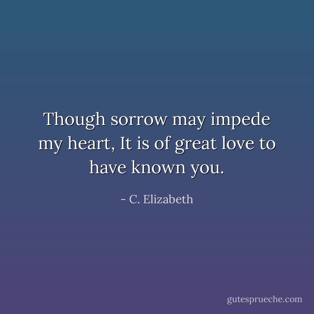 Though sorrow may impede my heart,<br />It is of great love to have known you. - C. Elizabeth