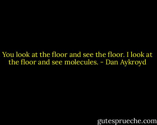 You look at the floor and see the floor. I look at the floor and see molecules. - Dan Aykroyd