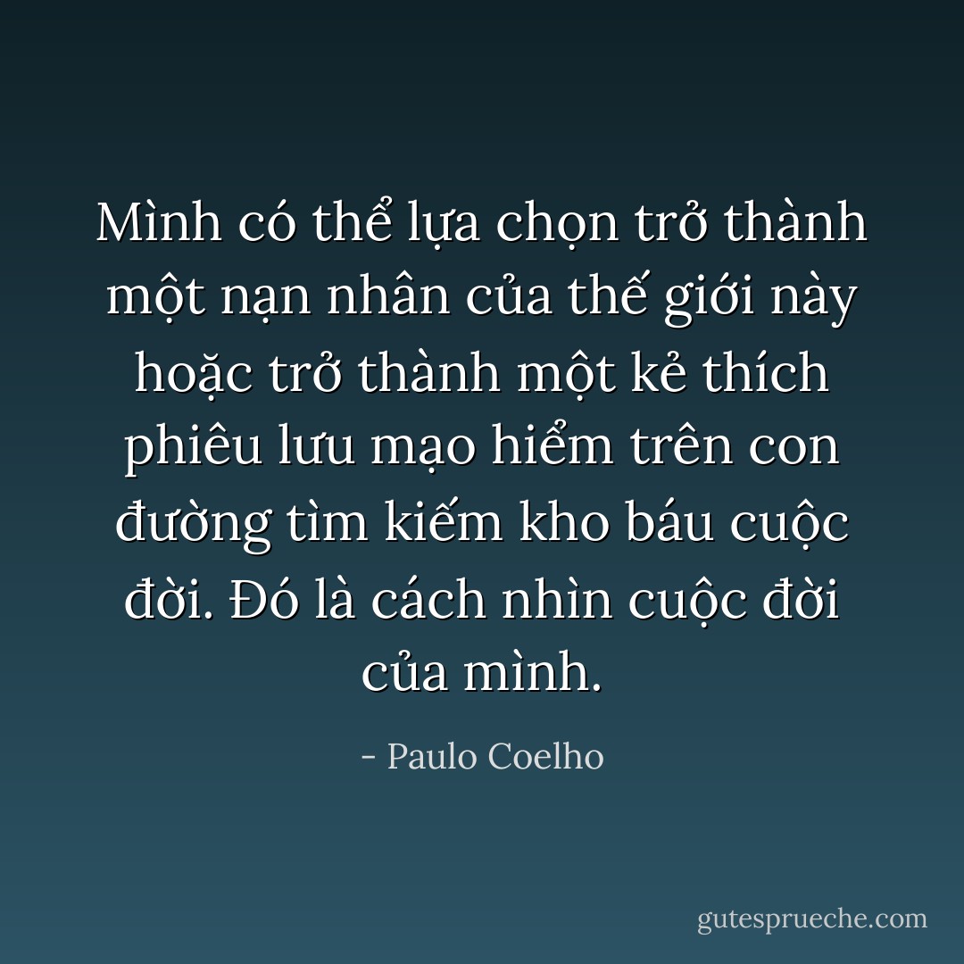 Mình có thể lựa chọn trở thành một nạn nhân của thế giới này hoặc trở thành một kẻ thích phiêu lưu mạo hiểm trên con đường tìm kiếm kho báu cuộc đời. Đó là cách nhìn cuộc đời của mình. - Paulo Coelho