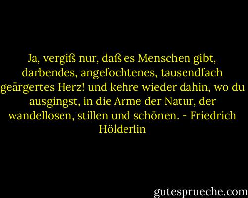 Ja, vergiß nur, daß es Menschen gibt, darbendes, angefochtenes, tausendfach geärgertes Herz! und kehre wieder dahin, wo du ausgingst, in die Arme der Natur, der wandellosen, stillen und schönen. - Friedrich Hölderlin