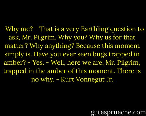 - Why me?<br />- That is a very Earthling question to ask, Mr. Pilgrim. Why you? Why us for that matter? Why anything? Because this moment simply is. Have you ever seen bugs trapped in amber?<br />- Yes.<br />- Well, here we are, Mr. Pilgrim, trapped in the amber of this moment. There is no why. - Kurt Vonnegut Jr.