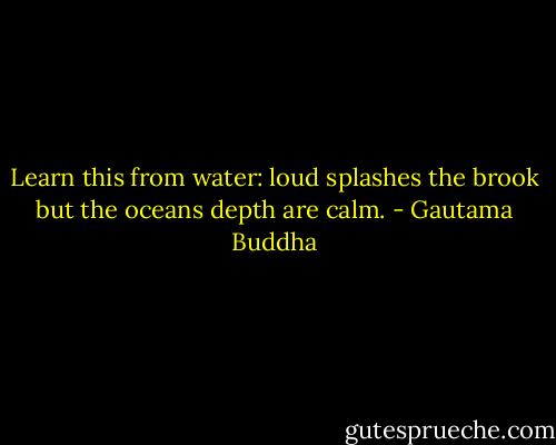 Learn this from water: loud splashes the brook but the oceans depth are calm. - Gautama Buddha