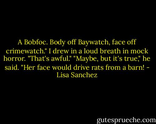 A Bobfoc. Body off Baywatch, face off crimewatch."<br />I drew in a loud breath in mock horror. "That's awful."<br />"Maybe, but it's true," he said. "Her face would drive rats from a barn! - Lisa Sanchez
