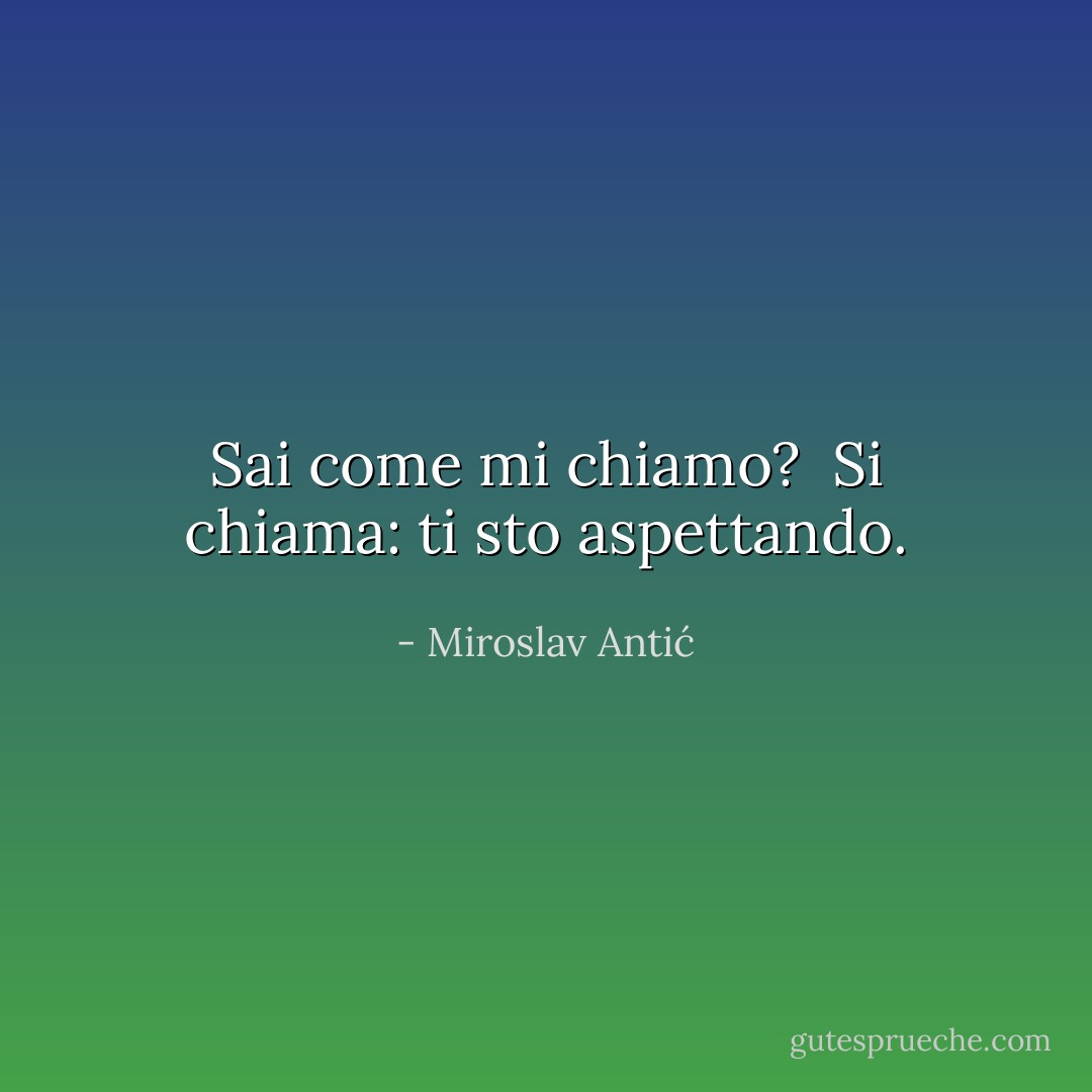 Sai come mi chiamo? <br />Si chiama: ti sto aspettando. - Miroslav Antić