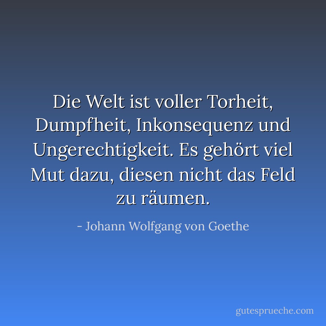 Die Welt ist voller Torheit, Dumpfheit, Inkonsequenz und Ungerechtigkeit. Es gehört viel Mut dazu, diesen nicht das Feld zu räumen. - Johann Wolfgang von Goethe