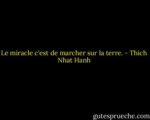 Le miracle c'est de marcher sur la terre. - Thich Nhat Hanh