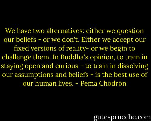 We have two alternatives: either we question our beliefs - or we don't. Either we accept our fixed versions of reality- or we begin to challenge them. In Buddha's opinion, to train in staying open and curious - to train in dissolving our assumptions and beliefs - is the best use of our human lives. - Pema Chödrön