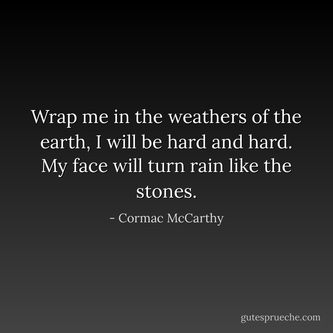 Wrap me in the weathers of the earth, I will be hard and hard. My face will turn rain like the stones. - Cormac McCarthy