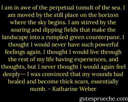 I am in awe of the perpetual tumult of the sea. I am moved by the still place on the horizon where the sky begins. I am stirred by the soaring and dipping fields that make the landscape into a rumpled green counterpane. I thought I would never have such powerful feelings again. I thought I would live through the rest of my life having experiences, and thoughts, but I never thought I would again feel deeply-- I was convinced that my wounds had healed and become thick scars, essentially numb. - Katharine Weber