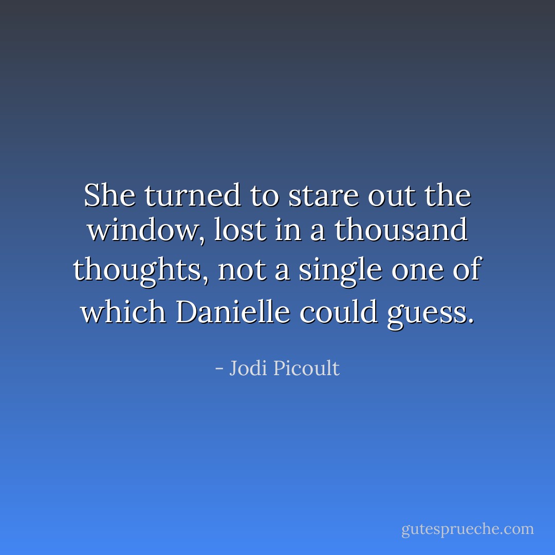 She turned to stare out the window, lost in a thousand thoughts, not a single one of which Danielle could guess. - Jodi Picoult