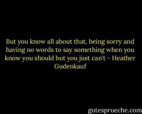 But you know all about that, being sorry and having no words to say something when you know you should but you just can't - Heather Gudenkauf