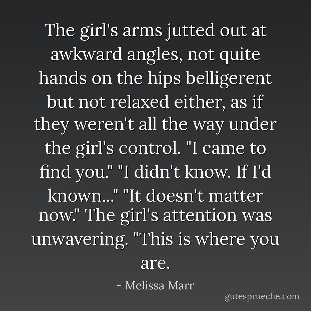 The girl's arms jutted out at awkward angles, not quite hands on the hips belligerent but not relaxed either, as if they weren't all the way under the girl's control. "I came to find you."<br />"I didn't know. If I'd known..."<br />"It doesn't matter now." The girl's attention was unwavering. "This is where you are. - Melissa Marr