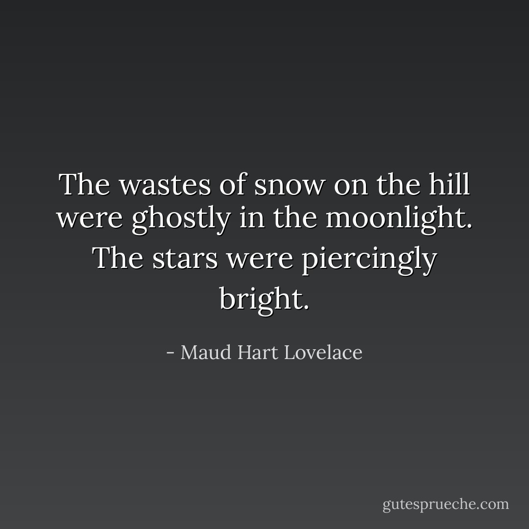 The wastes of snow on the hill were ghostly in the moonlight. The stars were piercingly bright. - Maud Hart Lovelace