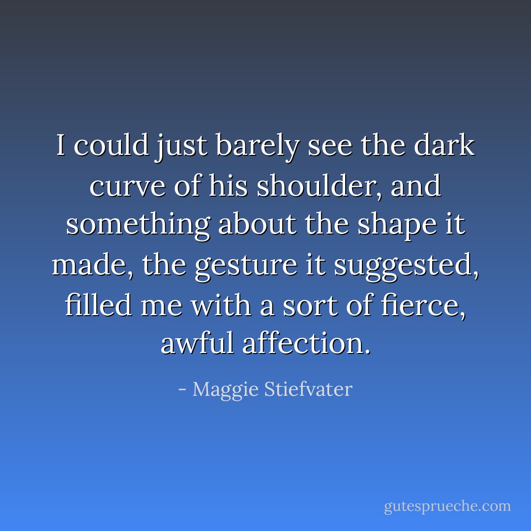 I could just barely see the dark curve of his shoulder, and something about the shape it made, the gesture it suggested, filled me with a sort of fierce, awful affection. - Maggie Stiefvater