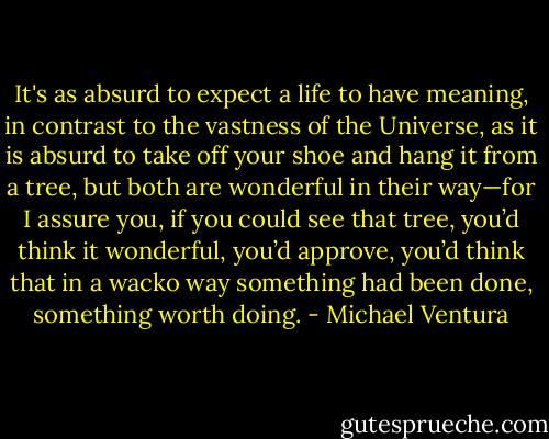 It's as absurd to expect a life to have meaning, in contrast to the vastness of the Universe, as it is absurd to take off your shoe and hang it from a tree, but both are wonderful in their way—for I assure you, if you could see that tree, you’d think it wonderful, you’d approve, you’d think that in a wacko way something had been done, something worth doing. - Michael Ventura