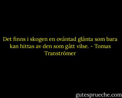Det finns i skogen en oväntad glänta som bara kan hittas av den som gått vilse. - Tomas Tranströmer