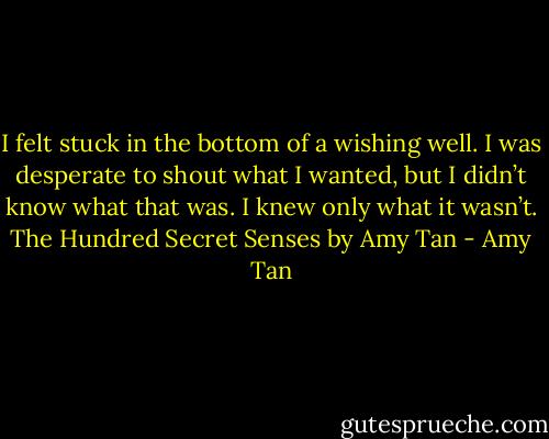 I felt stuck in the bottom of a wishing well. I was desperate to shout what I wanted, but I didn’t know what that was. I knew only what it wasn’t.<br />The Hundred Secret Senses by Amy Tan - Amy Tan