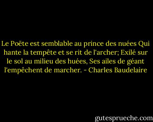 Le Poëte est semblable au prince des nuées<br />Qui hante la tempête et se rit de l'archer;<br />Exilé sur le sol au milieu des huées,<br />Ses ailes de géant l'empêchent de marcher. - Charles Baudelaire