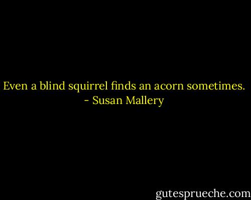 Even a blind squirrel finds an acorn sometimes. - Susan Mallery