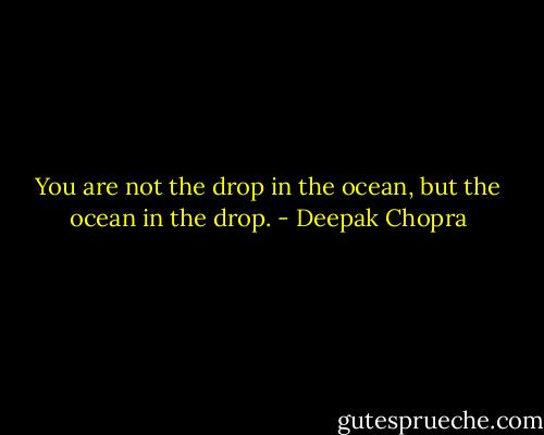 You are not the drop in the ocean, but the ocean in the drop. - Deepak Chopra