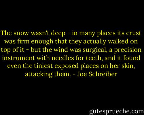 The snow wasn't deep - in many places its crust was firm enough that they actually walked on top of it - but the wind was surgical, a precision instrument with needles for teeth, and it found even the tiniest exposed places on her skin, attacking them. - Joe Schreiber