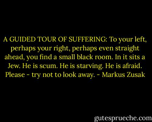 A GUIDED TOUR OF SUFFERING: To your left, perhaps your right, perhaps even straight ahead, you find a small black room. In it sits a Jew. He is scum. He is starving. He is afraid. Please - try not to look away. - Markus Zusak