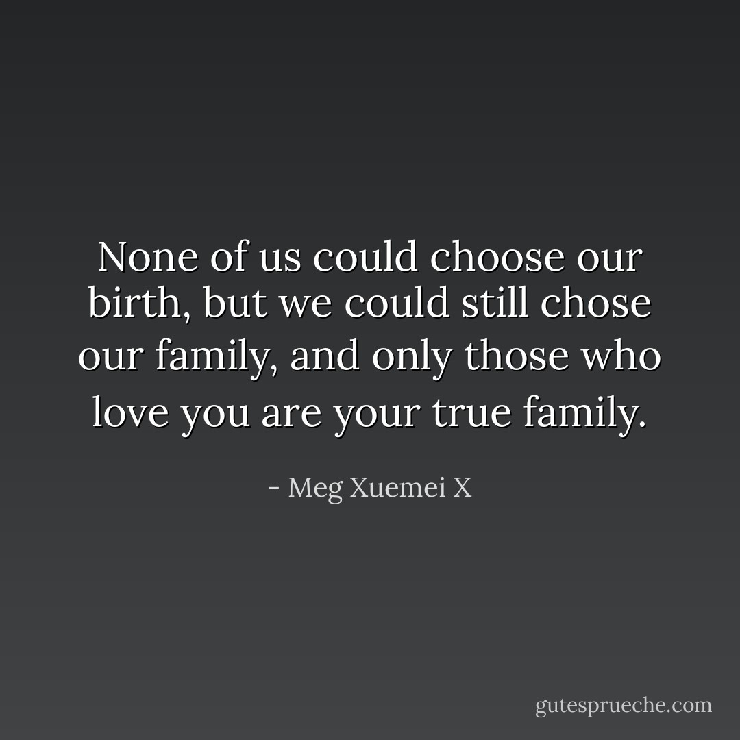 None of us could choose our birth, but we could still chose our family, and only those who love you are your true family. - Meg Xuemei X