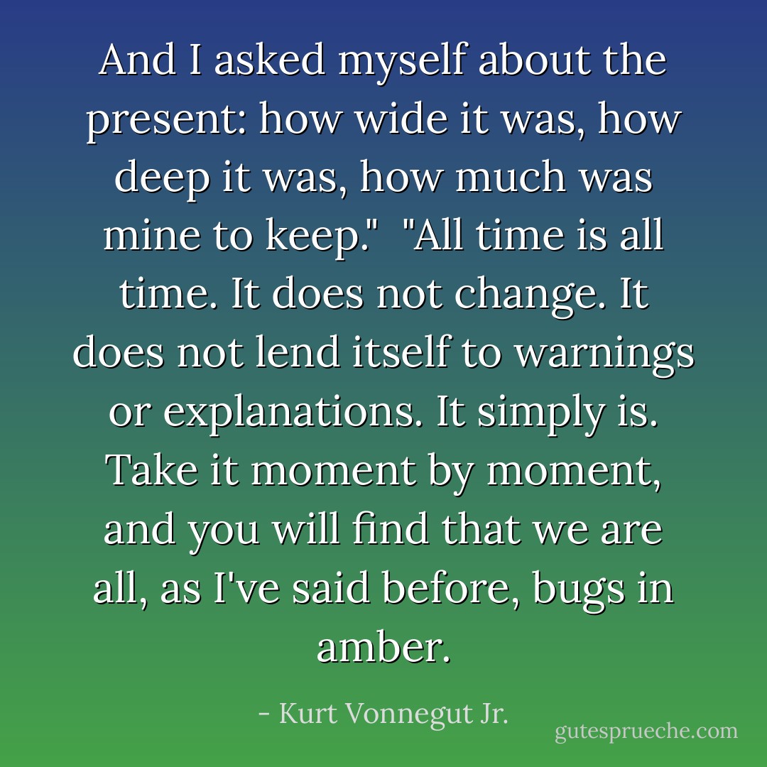 And I asked myself about the present: how wide it was, how deep it was, how much was mine to keep."<br /><br />"All time is all time. It does not change. It does not lend itself to warnings or explanations. It simply is. Take it moment by moment, and you will find that we are all, as I've said before, bugs in amber. - Kurt Vonnegut Jr.